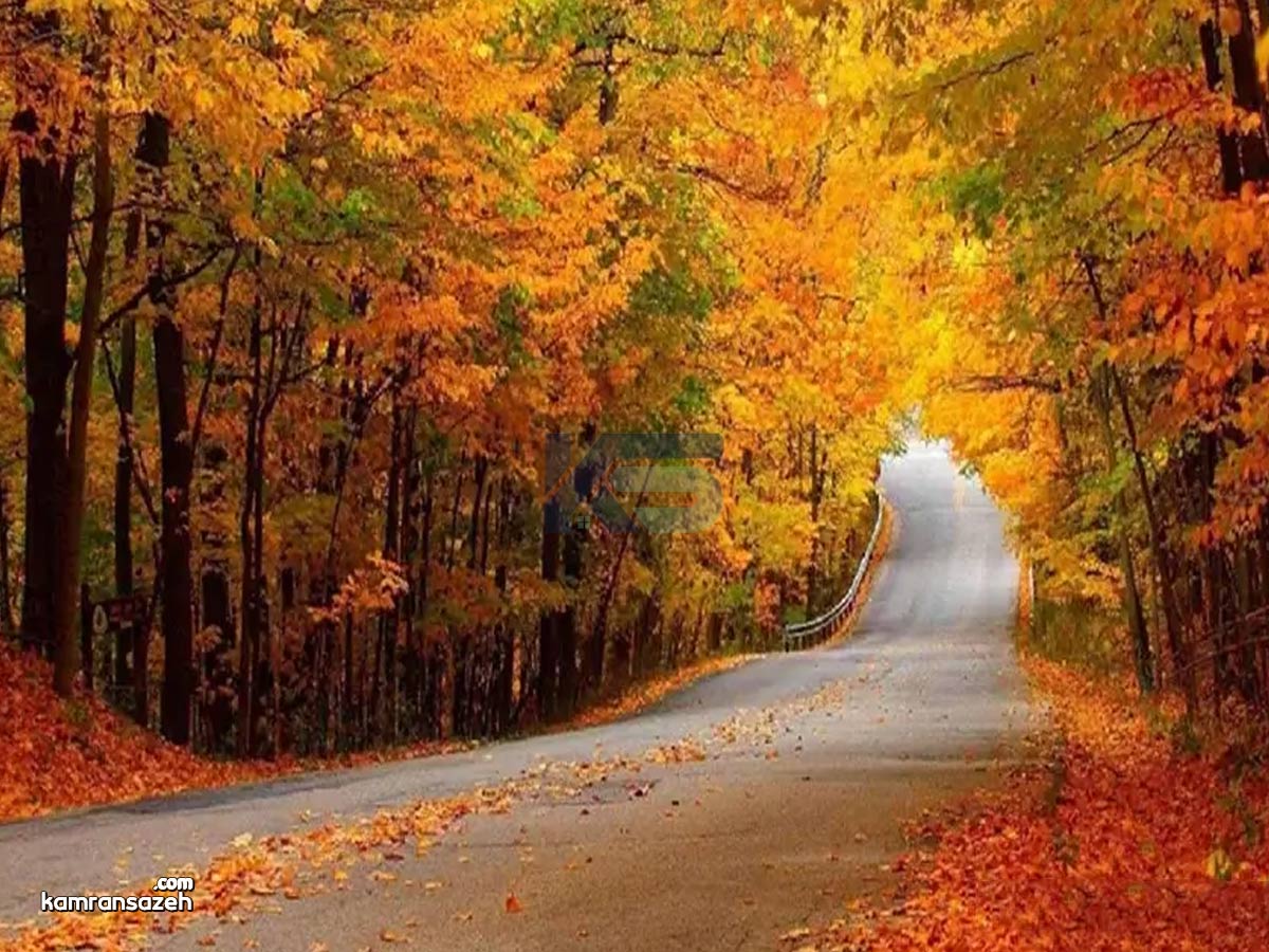 زیباکنار در پاییز