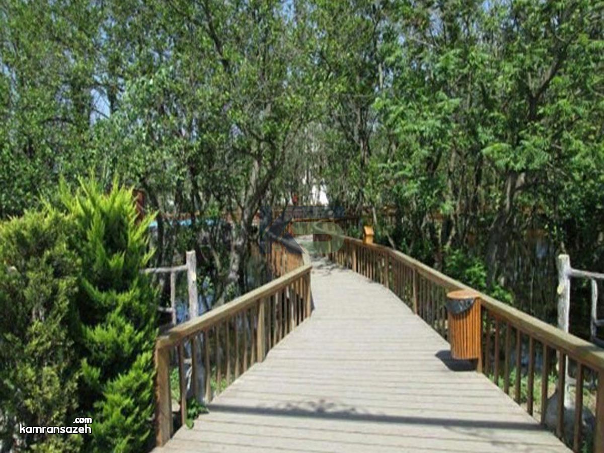 جاهای دیدنی و بکر زیباکنار