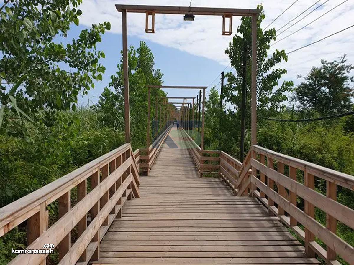 راهنمای کامل بازدید از پل چوبی کیاشهر و پارک جنگلی