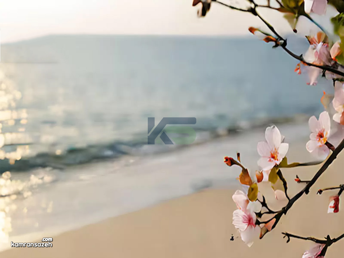 زیباکنار در فصل بهار